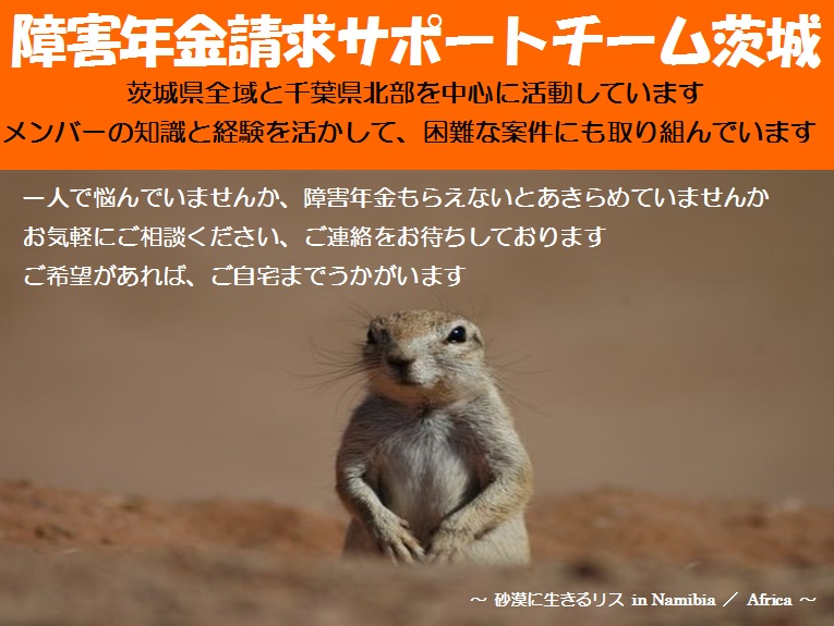 障害年金請求サポートチーム茨城