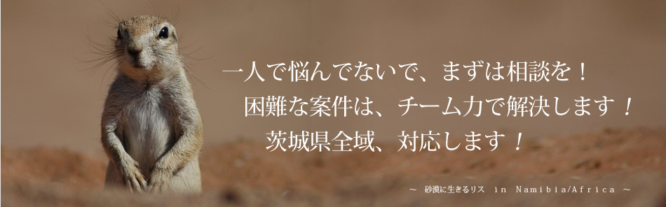 QŃAvɂCI@ȈČ́A`[͂ŉ܂I錧SAΉ܂I